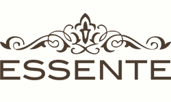 Essente_Logo_i7vvva.png